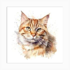 Highlander Cat Portrait 2 Art Print