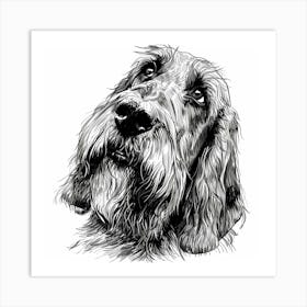 Grand Basset Griffon Vendeen Dog Line Sketch 1 Art Print