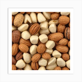 Nuts And Seeds 2 Art Print