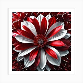 Red And White Flower Art Print