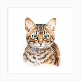 Bengal Marbled Cat Portrait 2 Art Print