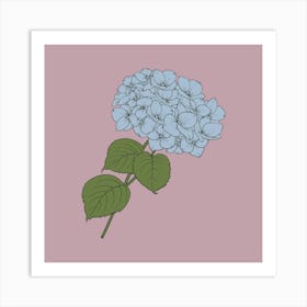 Hydrangea Art Print