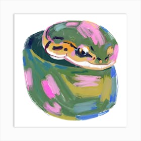 Ball Python Snake 05 Art Print