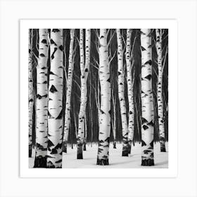 Birch Trees 3 Art Print