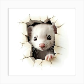 Ferret 1 Art Print