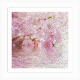 Cherry Blossoms 6 Art Print