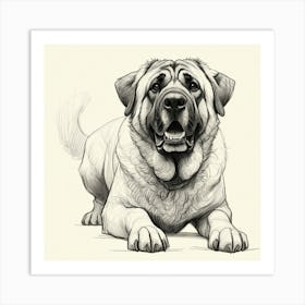 Shih Tzu Drawing Art Print