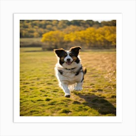 Dog Running In The Park Art Print