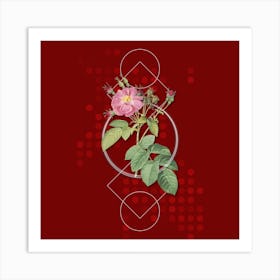 Vintage Harsh Downy Rose Botanical with Geometric Line Motif and Dot Pattern Art Print