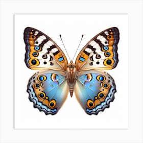 Butterfly of Bhutanitis lidderdalii 3 Art Print