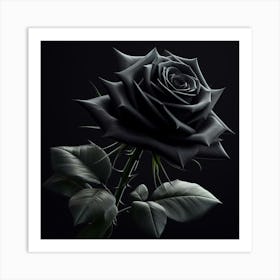 Black Rose 4 Art Print