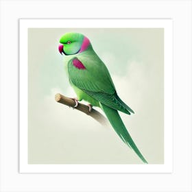 Parrot 18 Art Print