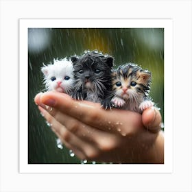 Kittens In The Rain 7 Art Print