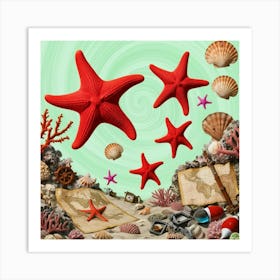 Starfish And Seashells Art Print