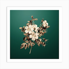Gold Botanical White Candolle Rose on Dark Spring Green n.1964 Art Print