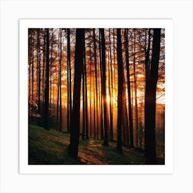 Sunset In The Forest 21 Art Print