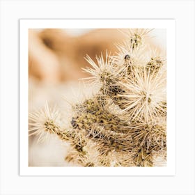 Sharp Cactus Spines Square Art Print