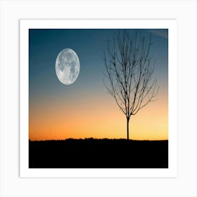 Full Moon In The Sky Art Print