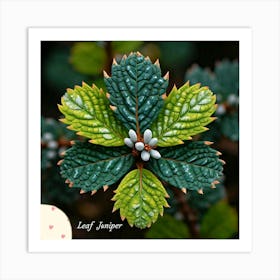 Juniper leaf Art Print