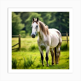 Horse Ranch Pony Animal Farm Nature Pet Farm Animal Summer Grass Head Mammal Green Mare (4) Art Print