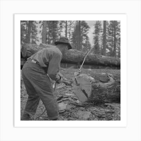 Grant County, Oregon, Malheur National Forest,Lumberjack Putting Hook Into Log Which Will Be Loaded Onto Flatcar By Art Print