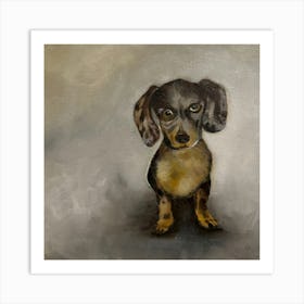 Dachshund Art Print