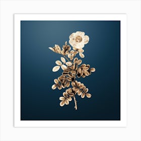 Gold Botanical Macartney Rose on Dusk Blue n.0613 Art Print