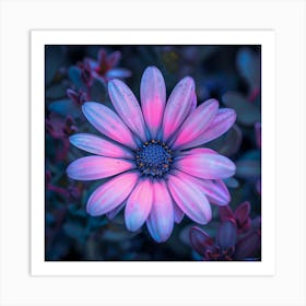 Purple Daisy Art Print