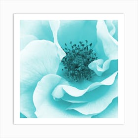 Blue Rose Art Print