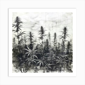 Cannabis Field Art Print