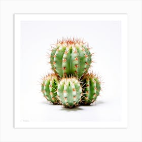 Cactus Art Print