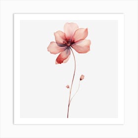 Pomegranate Flower Art Print