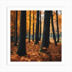 Autumn Forest Art Print