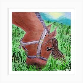 Horse In The Grass Art Print