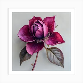 Burgundy Bloom: Realistic Botanical Art Print of a Single Rose Flower Art Print