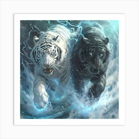 White Tiger And Black Tiger Art Print