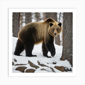 Grizzly Bear 7 Art Print