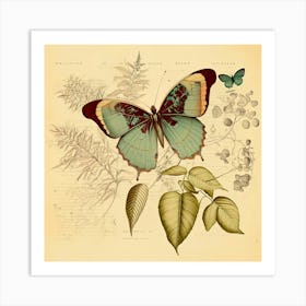 Botanical Sketch Vintage Sketch Nature Journal Field Journal Butterfly Art Print