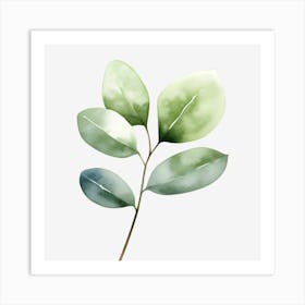 Green Leaves On A Black Background Art Print