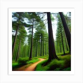 Forest Path Art Print