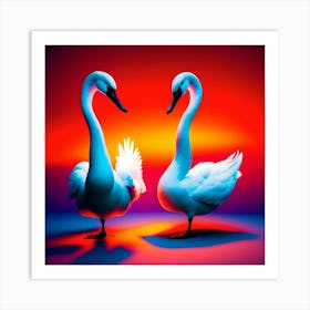 Two Swans Art Print