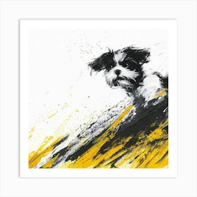 Shih Tzu Art Print