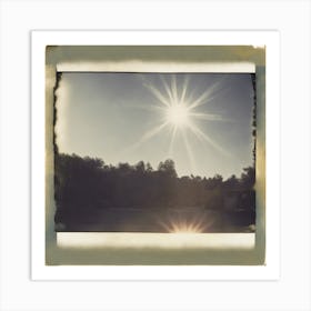 Sun Shines Through The Trees Art Print