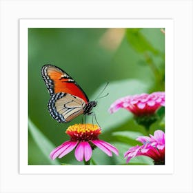 Butterfly On A Flower 9 Art Print