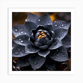 Lotus Flower 1 Art Print