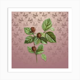 Vintage Carolina Allspice Flower Botanical on Dusty Pink Pattern Art Print