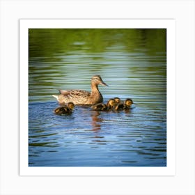 Mother Duck With Ducklings 2 Art Print