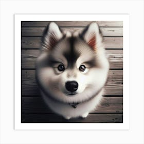 Husky Dog Art Print