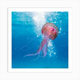 Jellyfish - Jellyfish Stock Videos & Royalty-Free Footage Art Print