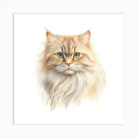 British Longhair Cat Portrait 1 Art Print